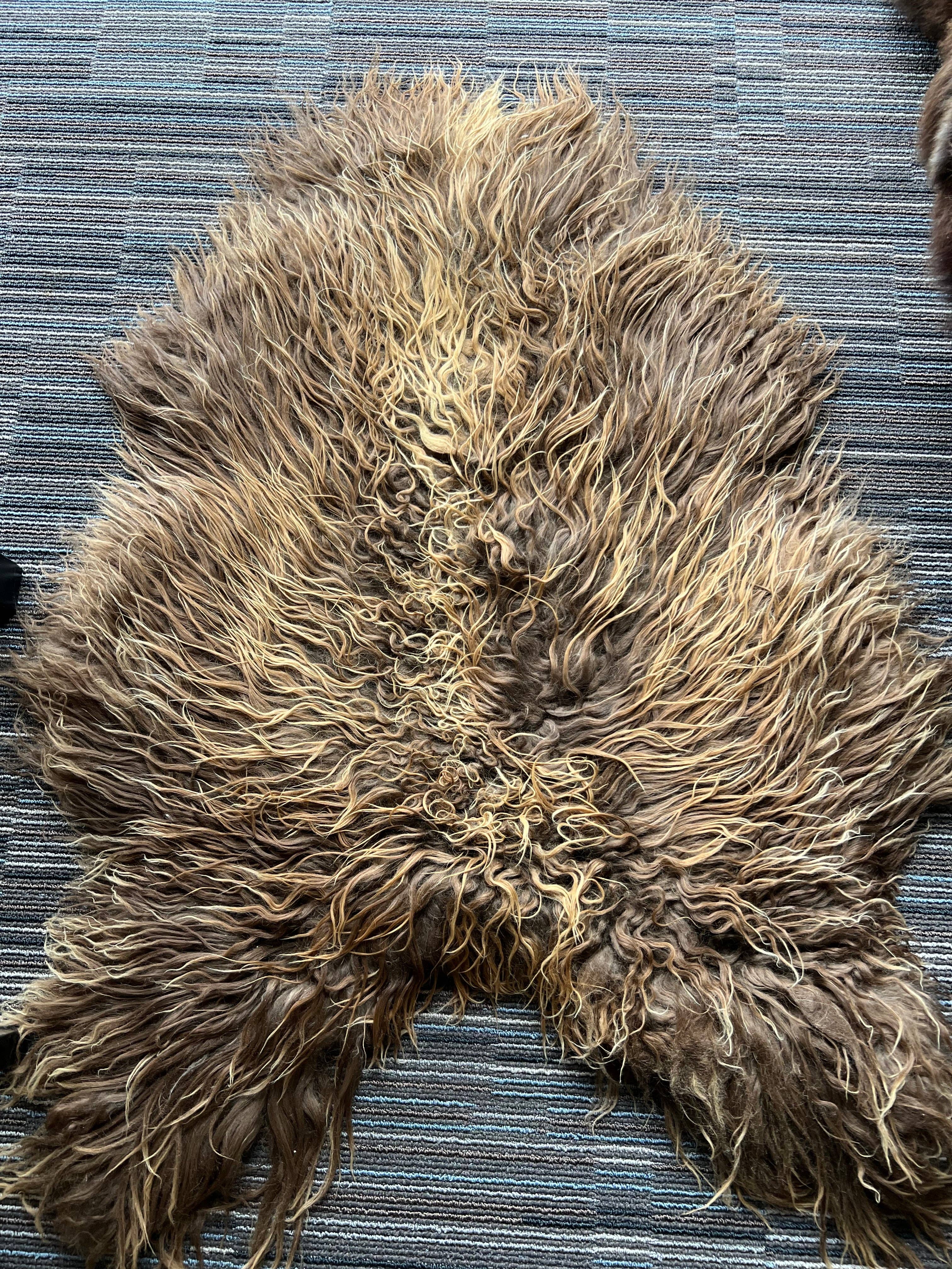 WeeSkins Holland – Engroshandel Løst tæppe – Islandsk lammeskind, stilfuldt og krøllet10