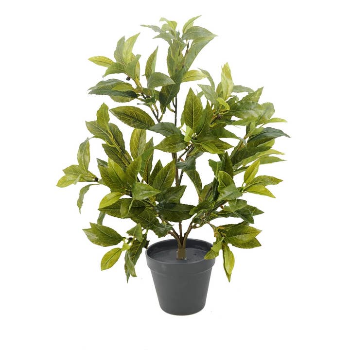 Aguilar Málaga – wholesale Konstgjord växt – PL.Kaffe/frö 55cm C/M 10X12
