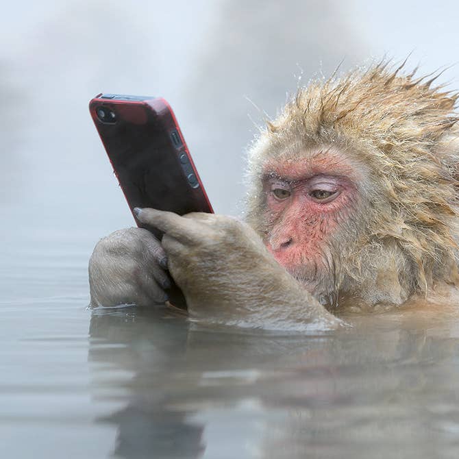 gestalten & teNeues - Wholesale Display Book - Mother9