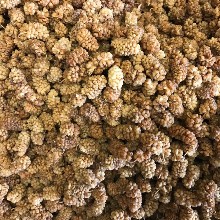 Dried White Mulberry 500g for wholesale by Herbal Cure