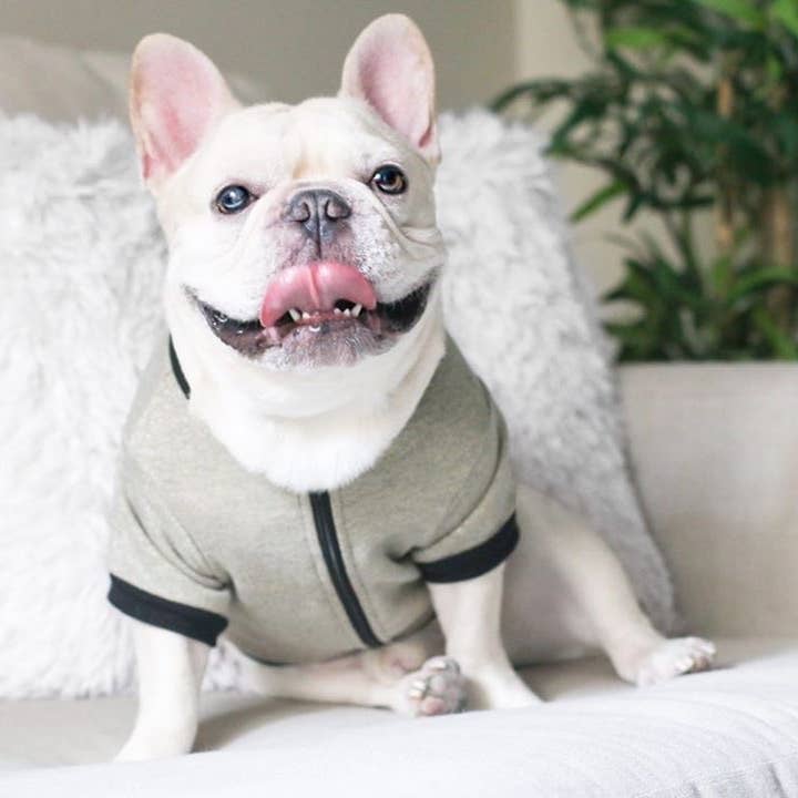 Zip Up Jacket - Members Only Gold for wholesale by BOSSPUP