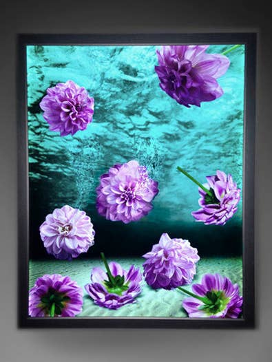 Dahlia Prints and light box for wholesale by DiFiore New York
