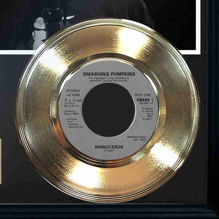 Gold Record Outlet – wholesale Wall Accent – Smashing Pumpkins "Rhinoceros" Framed Record Display3