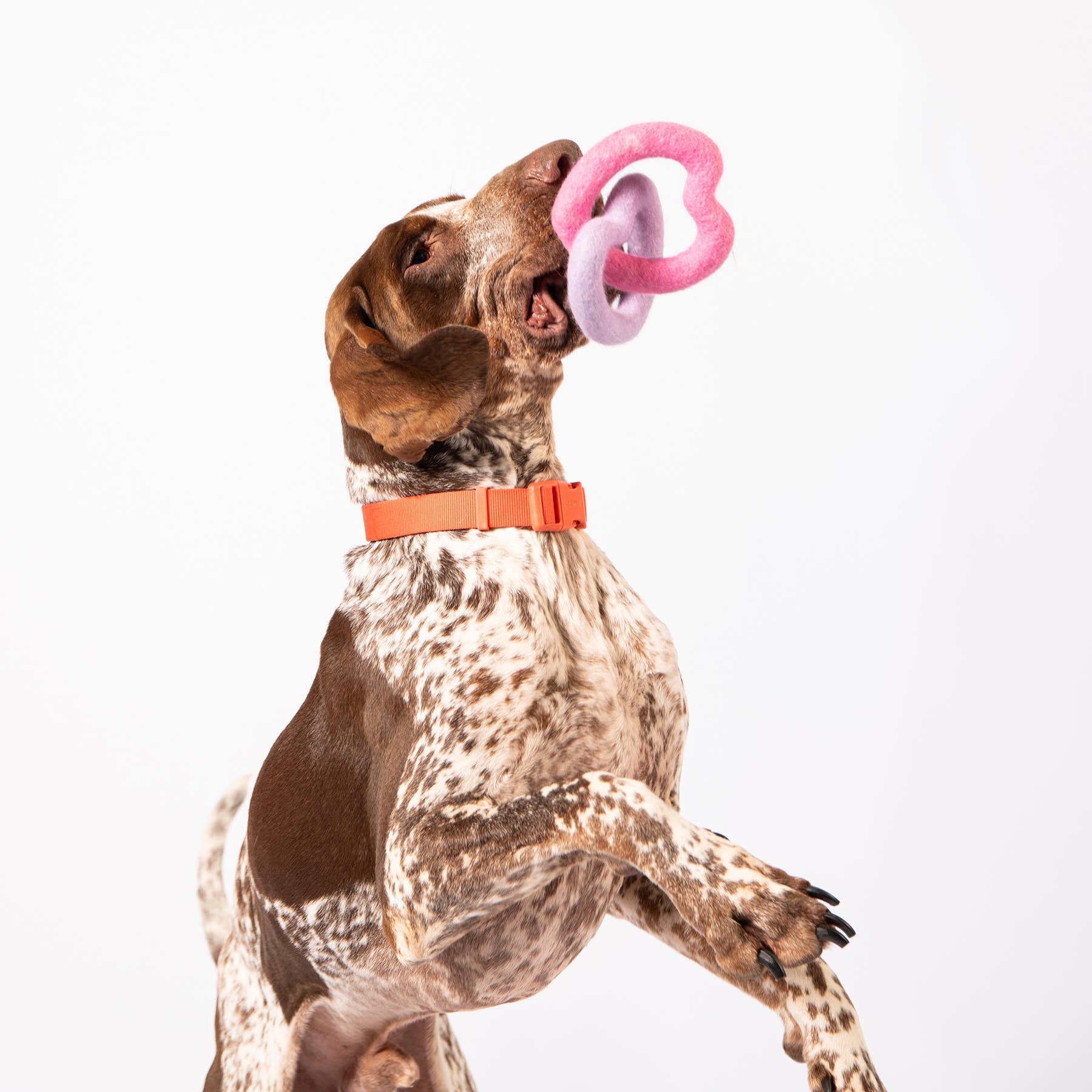 Awoo – Engroshandel Legetøj - Hund – Sweethearts filtlegetøj3