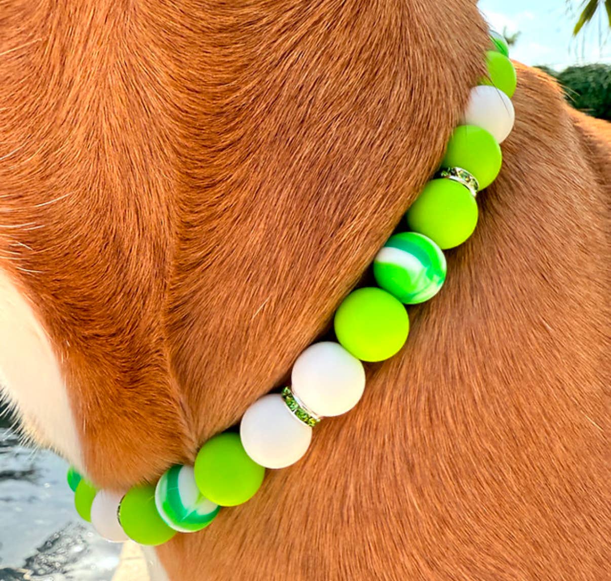 Dainty Paws - Wholesale Pet Collar - Cat/Dog - Lucky Charm | Beaded Dog Collar   3