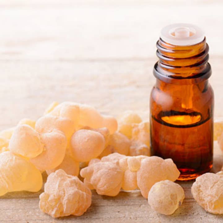 Frankincense Essential Oil for wholesale by Birchwood Acres