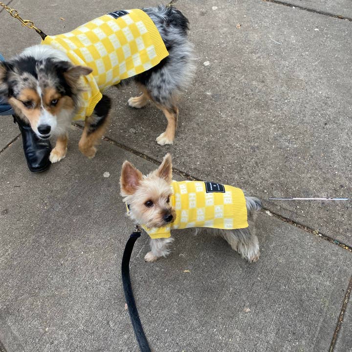 Bespoke Paws - Wholesale Pet Sweater - Dog - BP X BH Check Sweater vest1