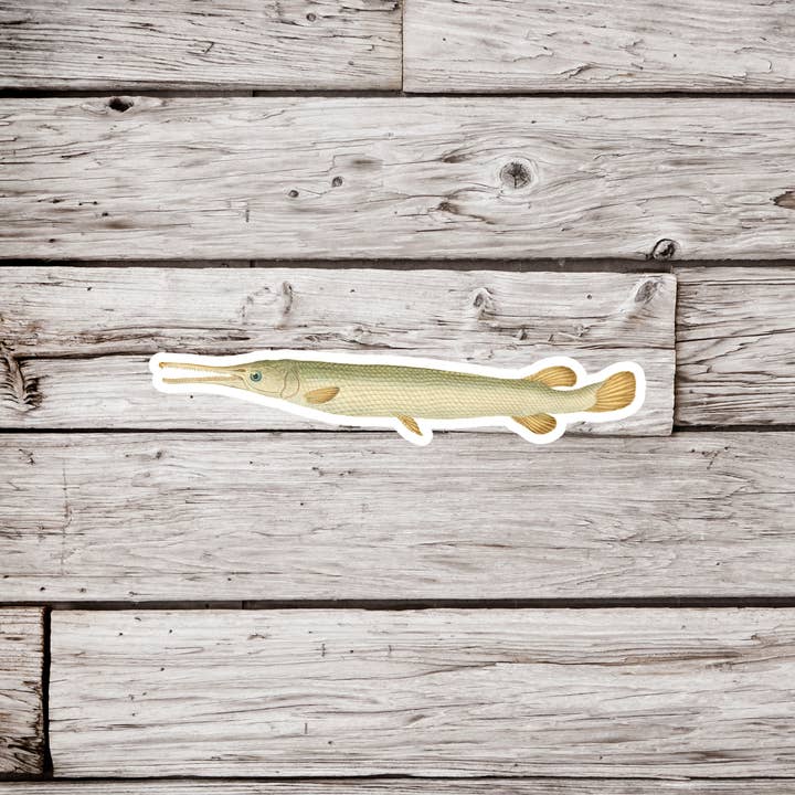 NatureCuts - Wholesale Sticker - Gar Fish Sticker, Fish Sticker, Vintage Fish Sticker
