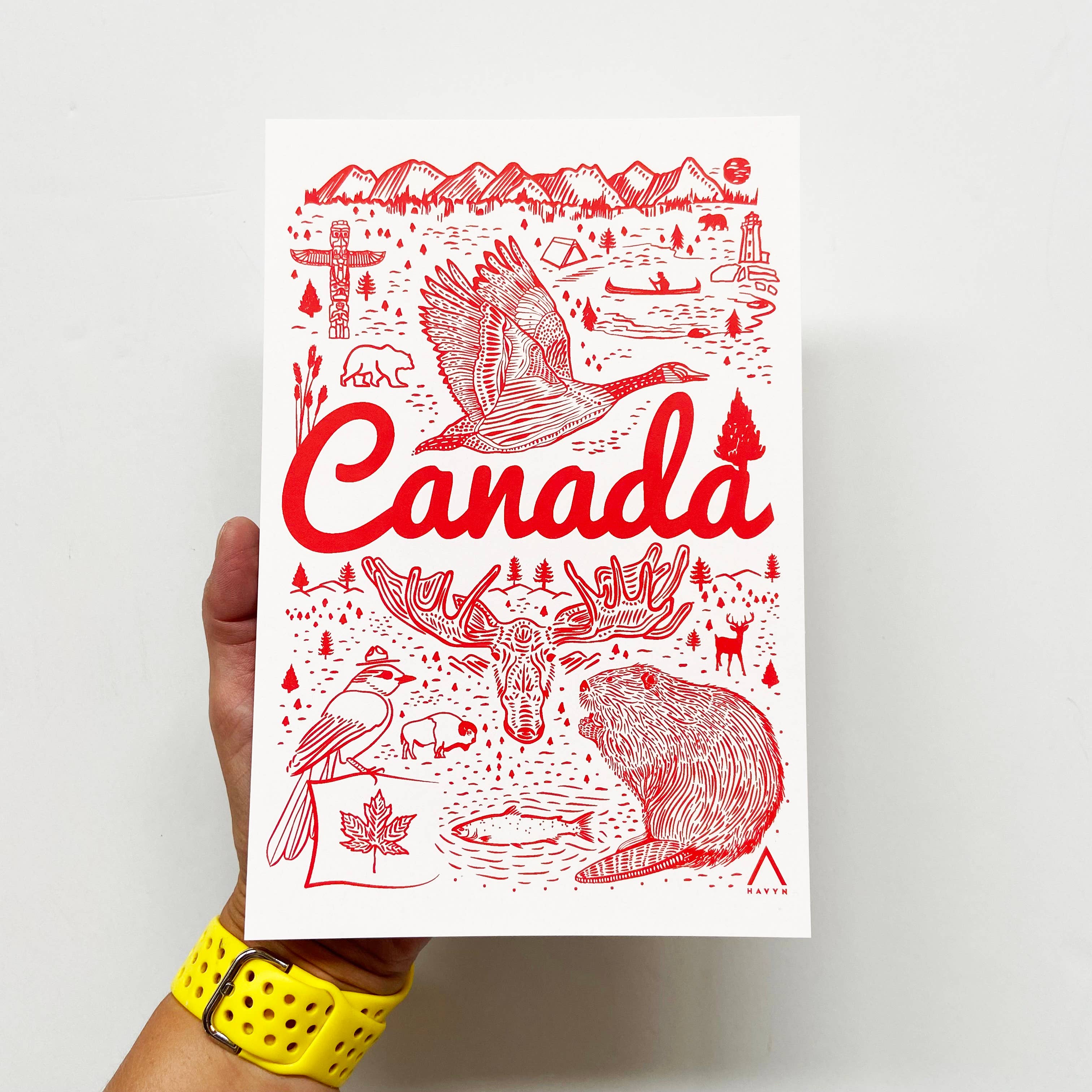 HAVYN - Vente Cartes postales - Carte postale Symboles du Canada 6x91