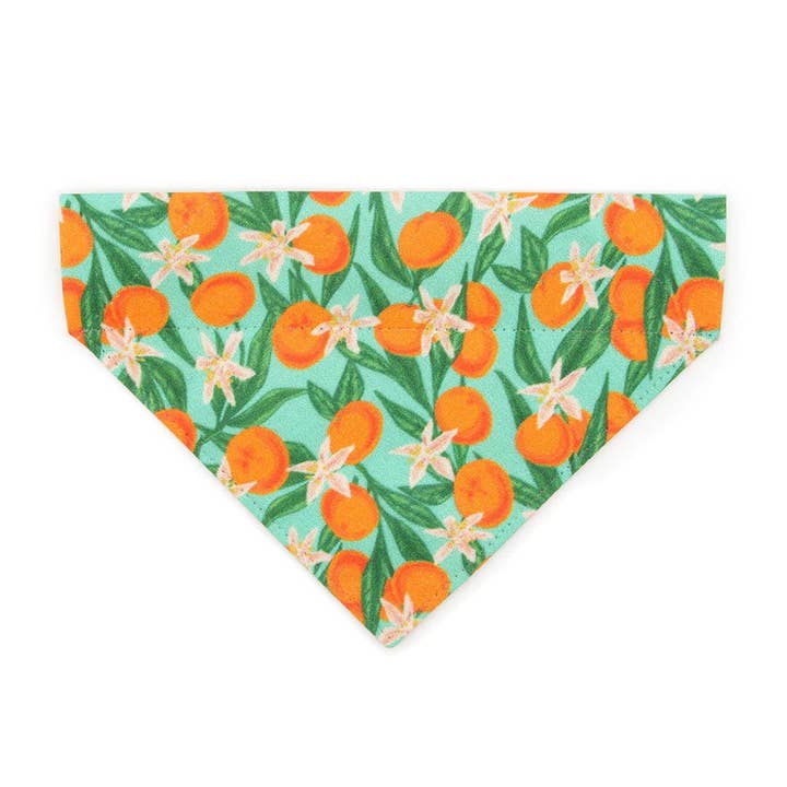 «Clementine Blossom» - Bandana para gatos y perros pequeños para venta al por mayor de Made By Cleo