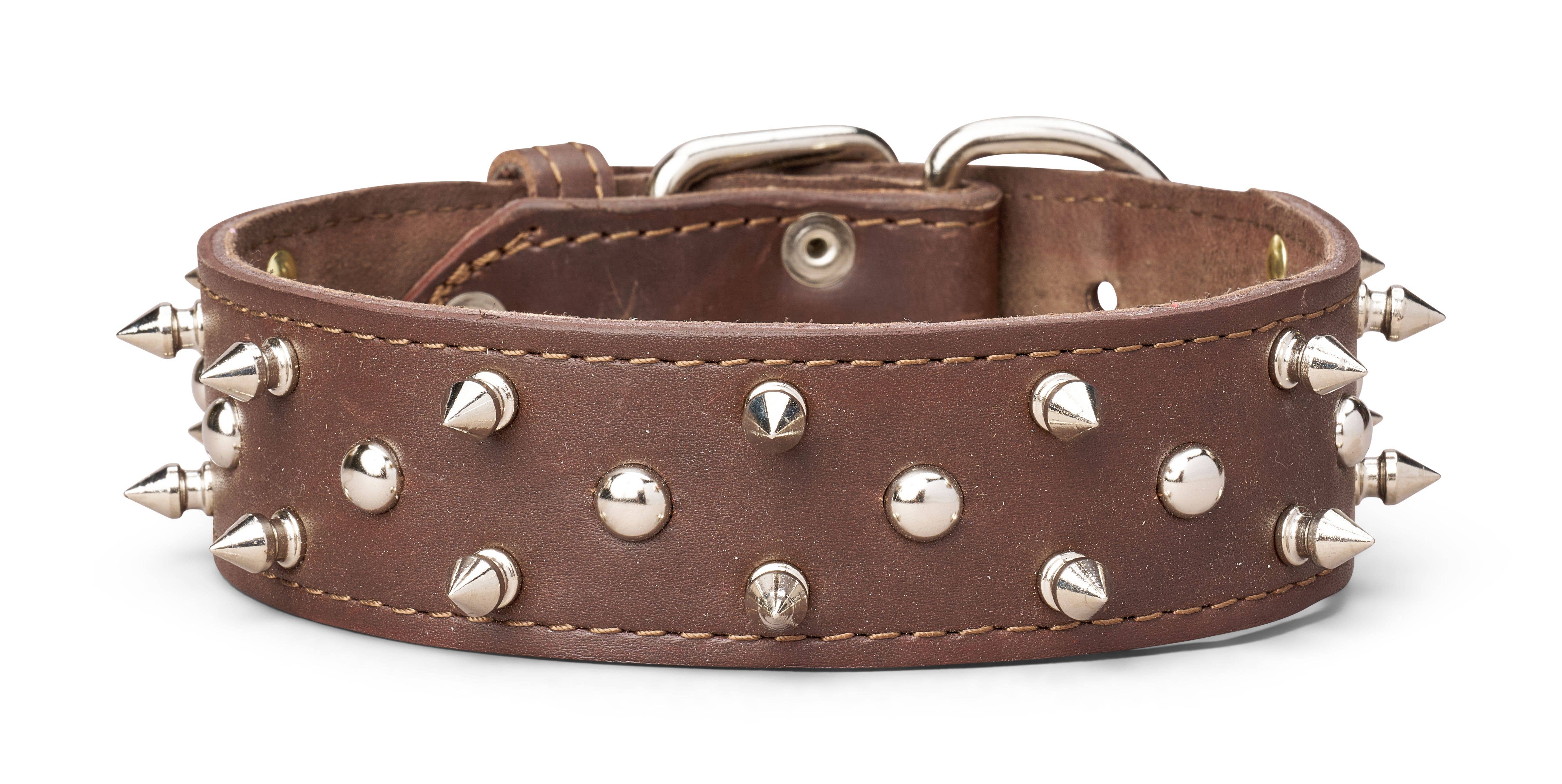 TOP DOG BRAND INC - Vente Collier – chien - Colliers en cuir à pointes de 1 3/4 pouce de large2