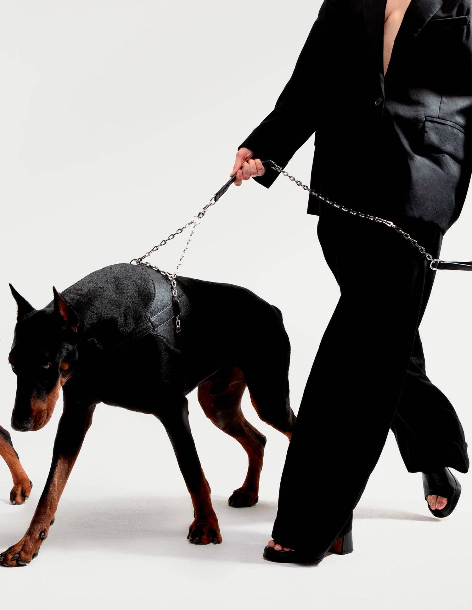 PAGERIE – wholesale Hundkoppel - Hund – Oxen hundkoppel i rostfritt stål och läder4