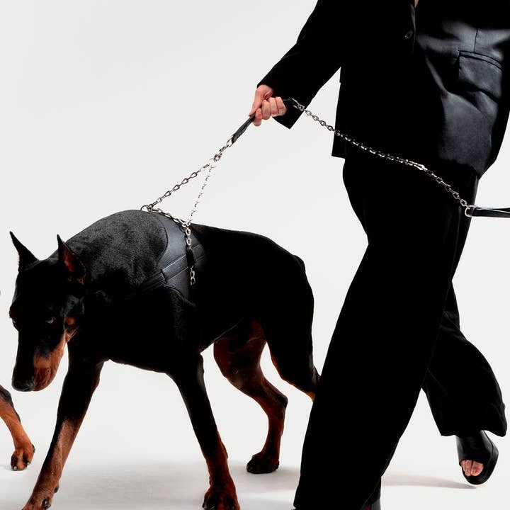 PAGERIE – wholesale Hundkoppel - Hund – Oxen hundkoppel i rostfritt stål och läder4