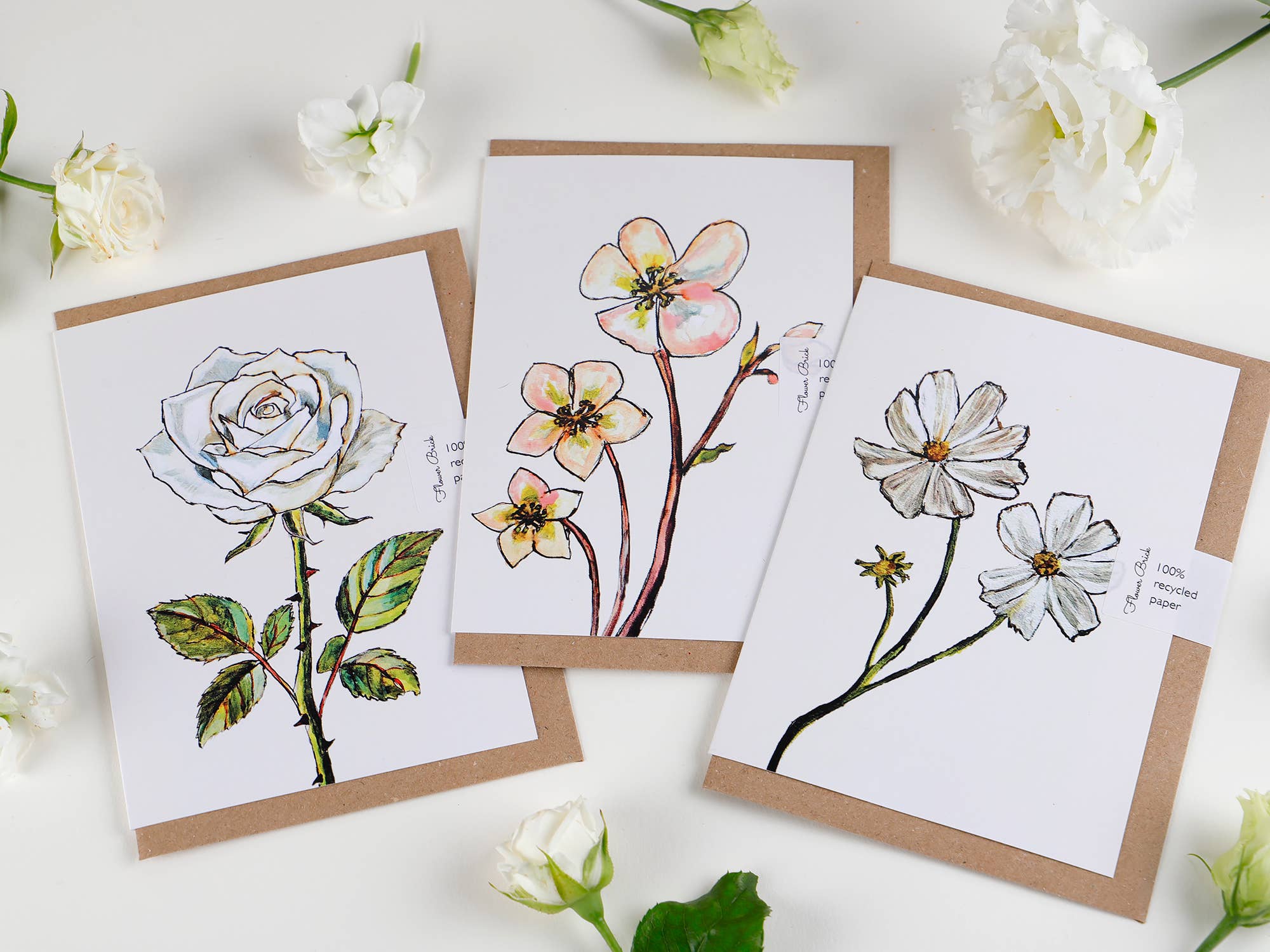Flower Brick - Wholesale Everyday Greeting Card - A6 100% Recycled "White Cosmos" Greeting Card3