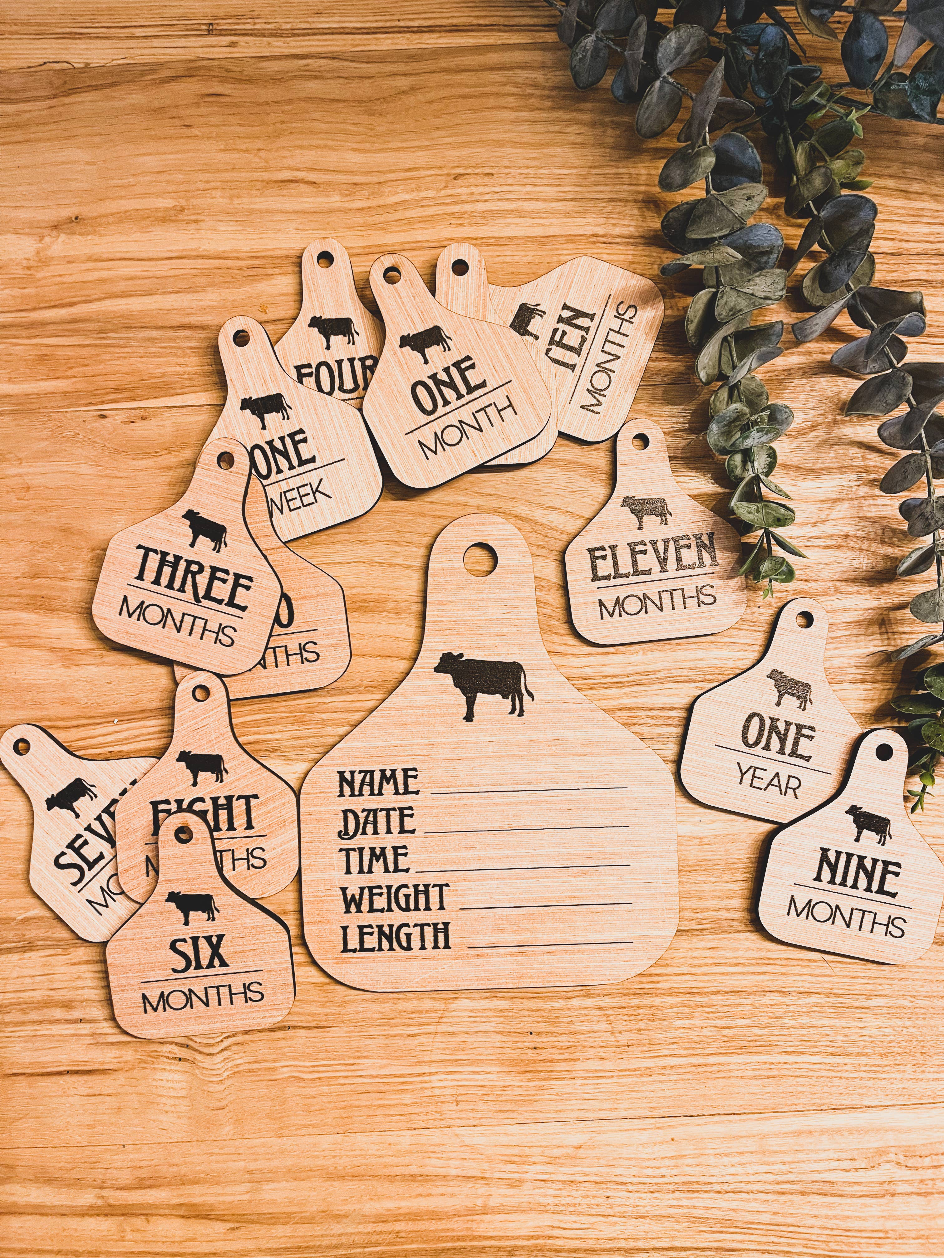 Simply Stained Shop - Wholesale Milestone art/keepsake – Child & baby - Cattle Ear Tag Baby Closest Hangers + Milestone cards + anno9