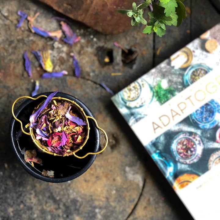 Anima Mundi Apothecary - Wholesale Book - Adult - ADAPTOGENS Book | Ritual Wellness | written by our founder,