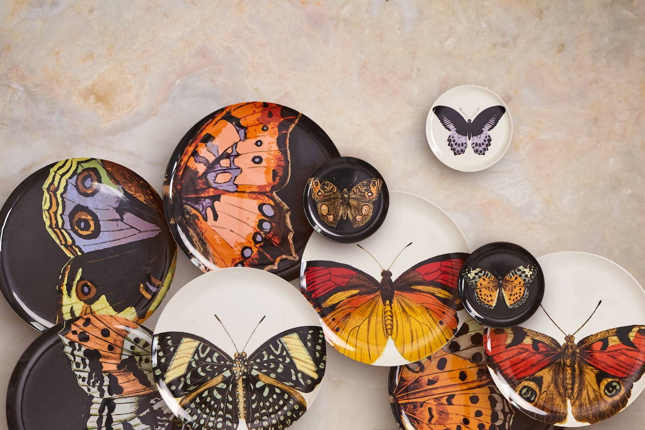 THOMASPAUL - Wholesale Dinner Plate - Metamorphosis Side Plates Set of 41