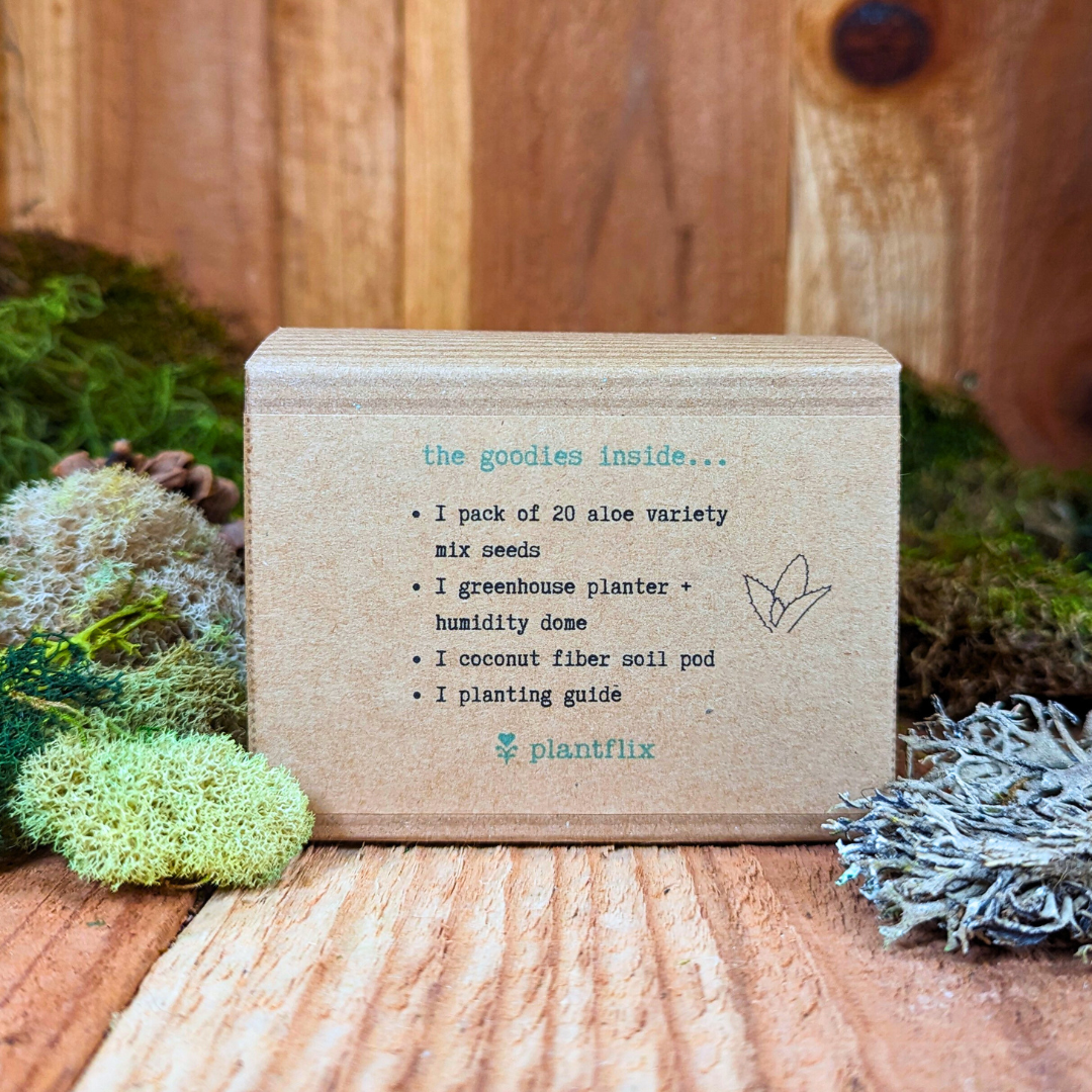 Plantflix - Wholesale Plant Seeds - Houseplant Seed Kit 8