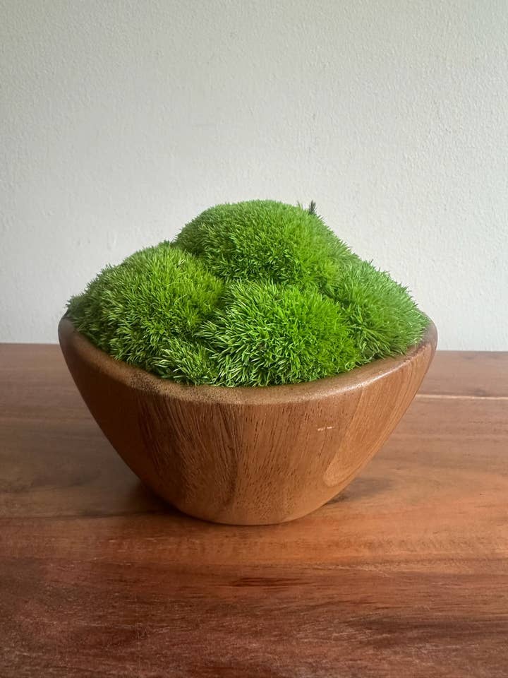 Preserved Pole Moss Centerpiece - Unique Wood Planter for wholesale by Bright Belle