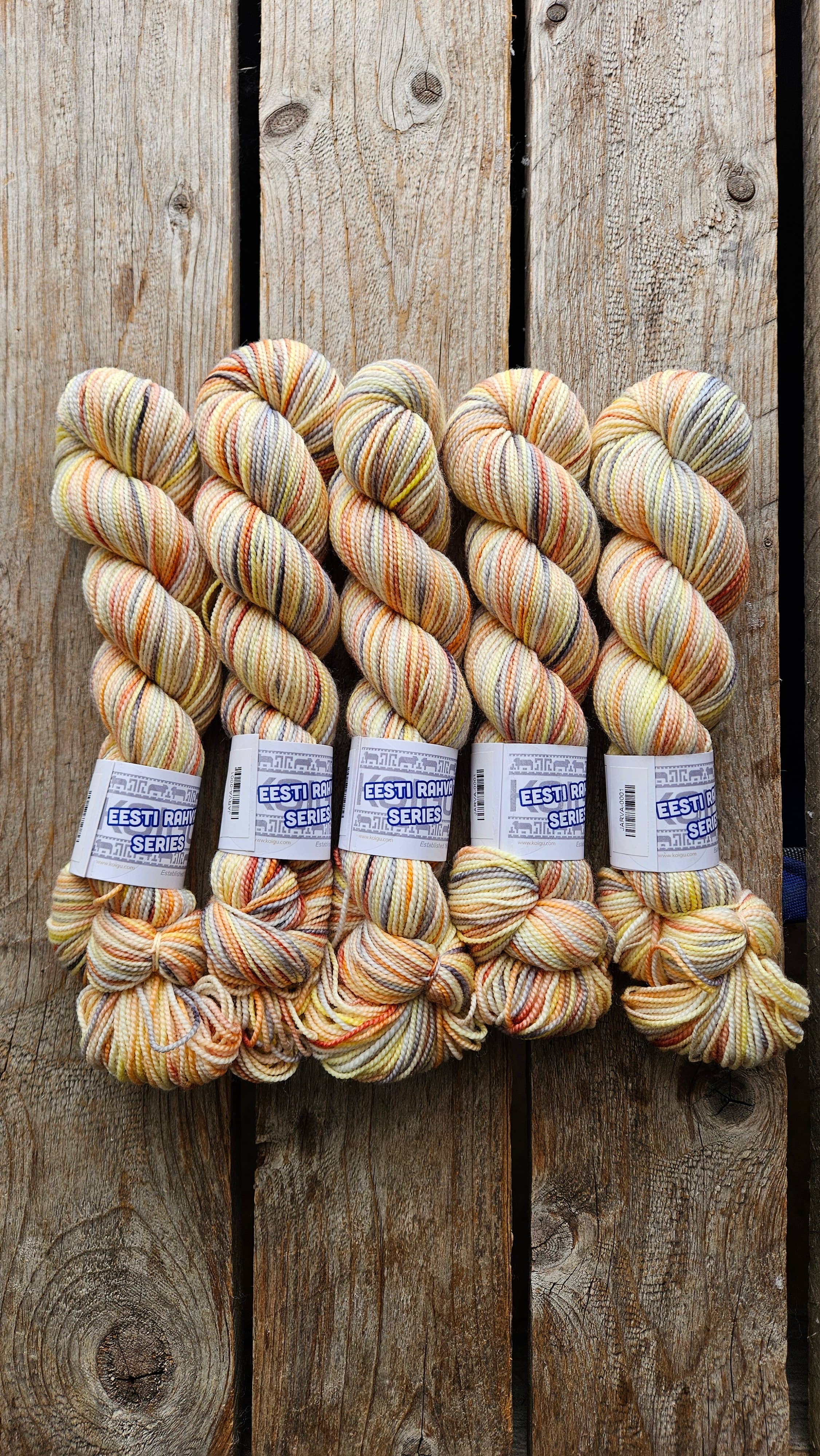 Koigu Wool Designs - Wholesale Yarn - Eesti Rahva (Estonian Folk) Series 2025 - KPPPM7