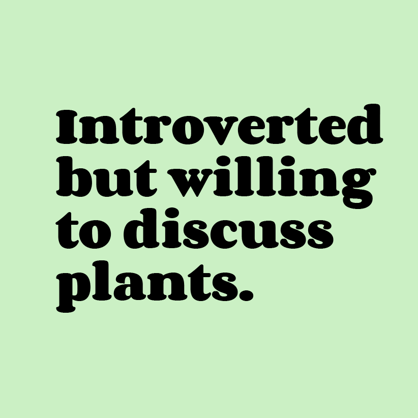 Oat Milk Club – wholesale Graphic sweatshirt – Unisex – Introverted But Willing to Discuss Plants-Organic Sweatshirt3