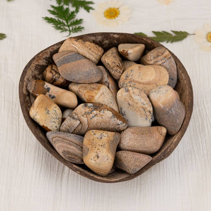 Picture Jasper Tumbled. 1lb. for wholesale by Down To Earth