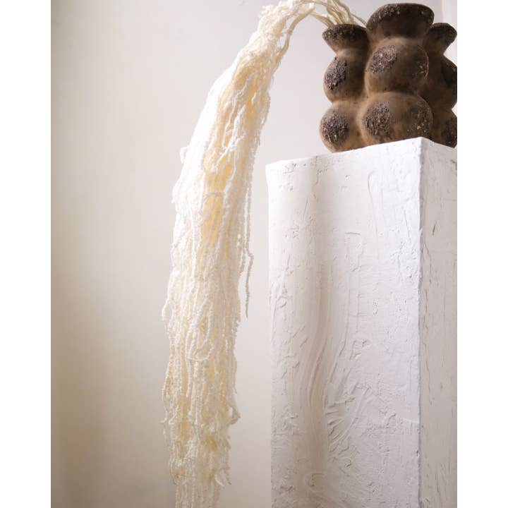 Twenty Third by Deanne – wholesale Dried/pressed flowers – Dried Amaranthus (White)