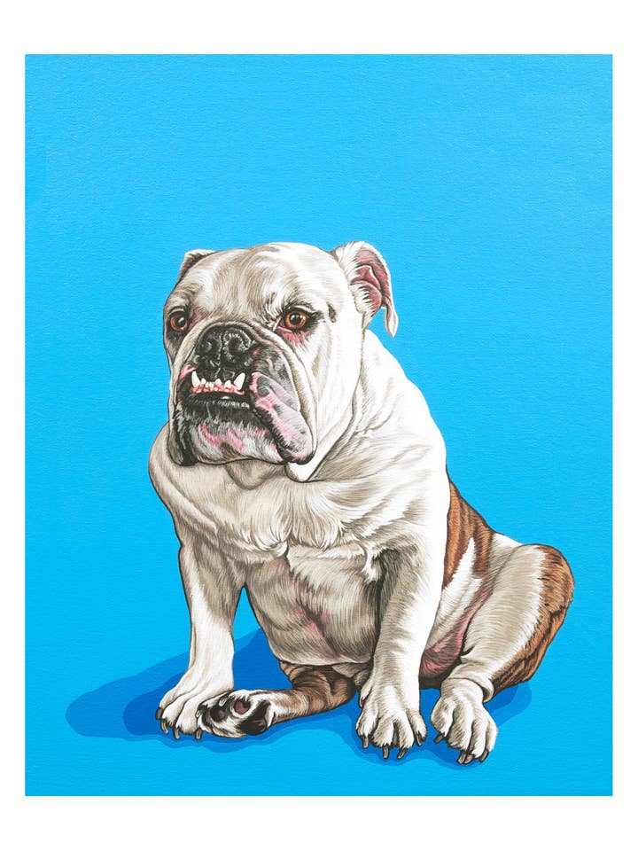Bulldog Dog Art Print for wholesale by Pop Zoo