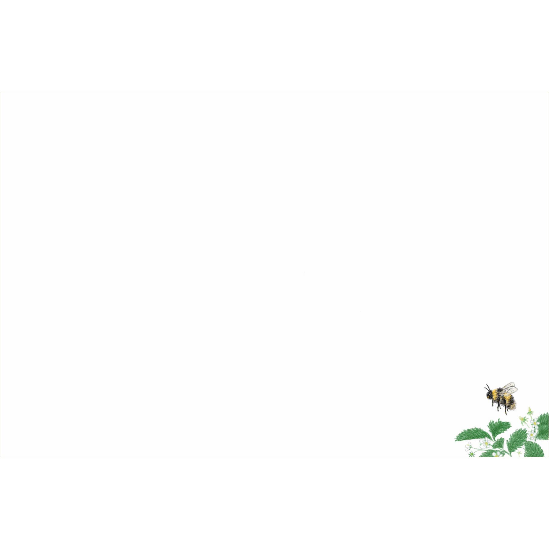 Lettering By KT - Wholesale Stationery/Notecard Set - Garden Set of 8 Flat Cards3