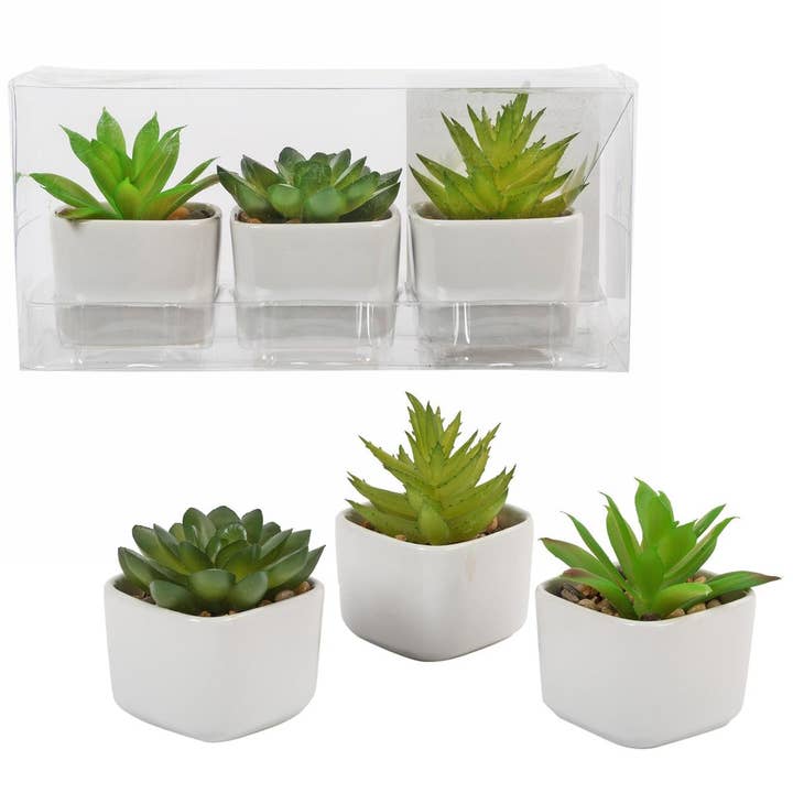 Truu Design Set/3 Artificial Succulents in 2"D Ceramic Pot for wholesale by Truu Design