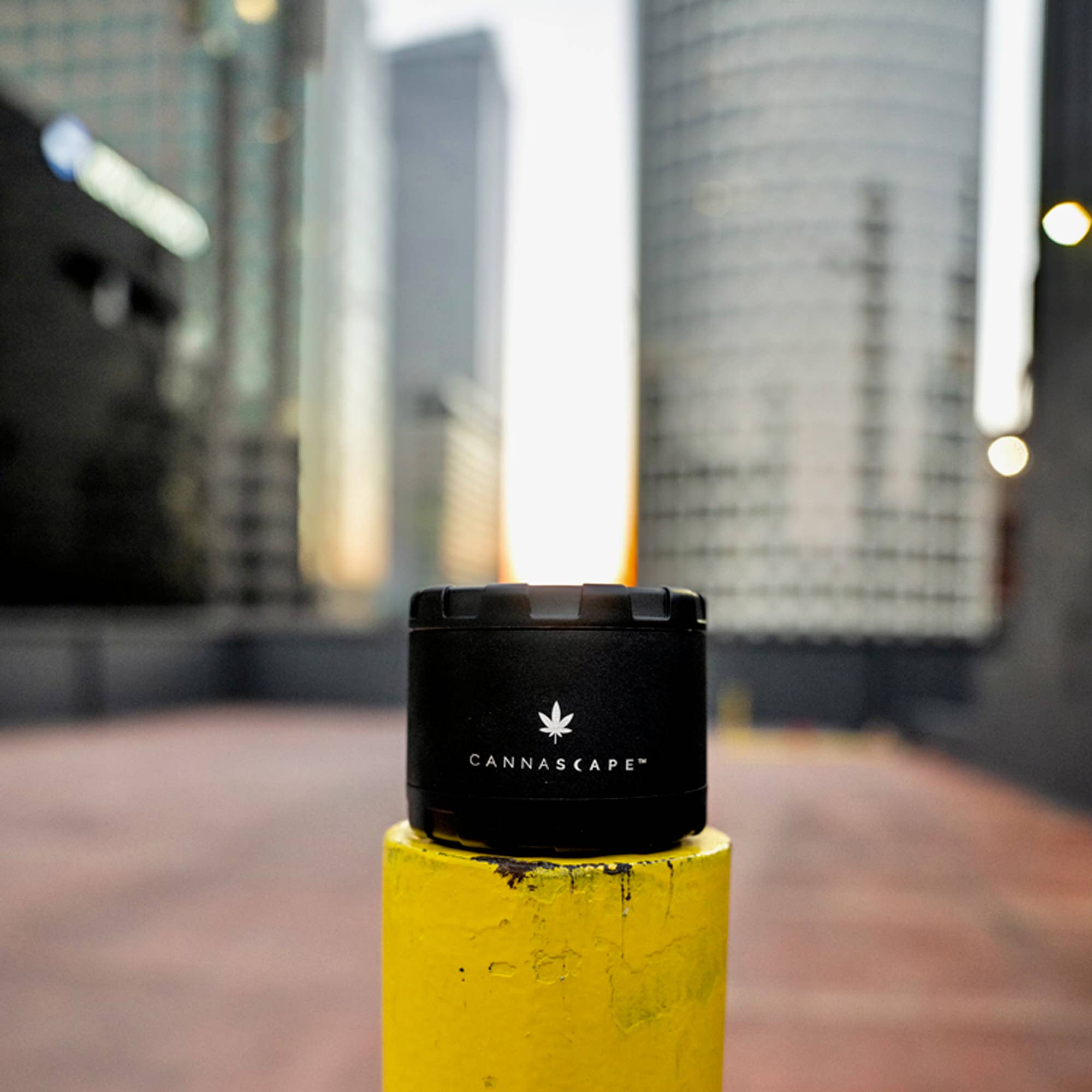 Planetary Design - Wholesale Food Storage Container - The Cannascape CarGo Can2