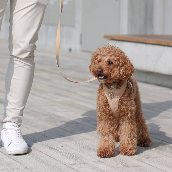 Pups & Bubs - Wholesale Pet harness – Dog - Roam Luxe Harness (Desert) | Dog Walking Gear | Dog Harness4