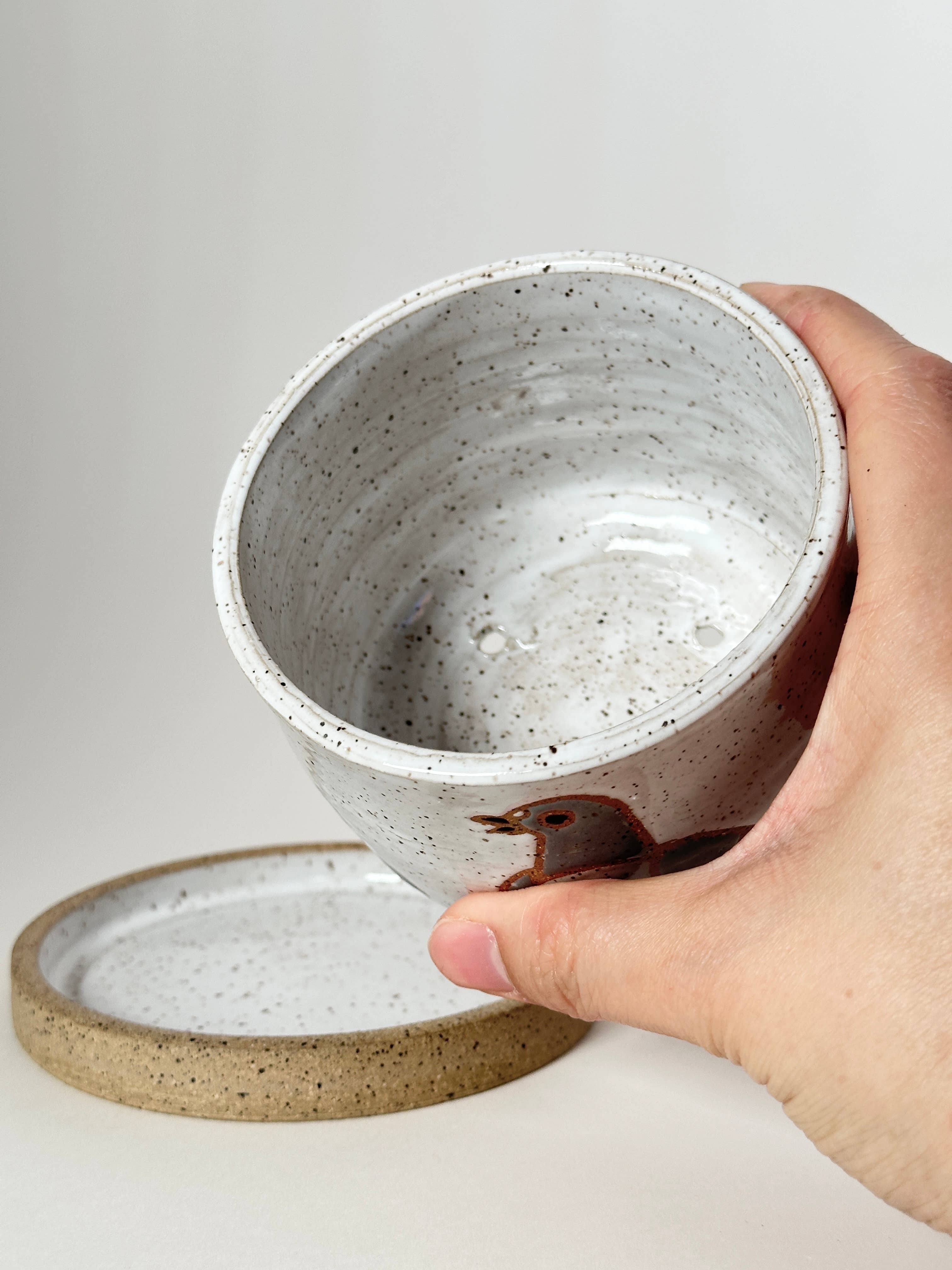 Annie’s Potteries – Vaso de plantas por atacado – Plantadores de Pombos7