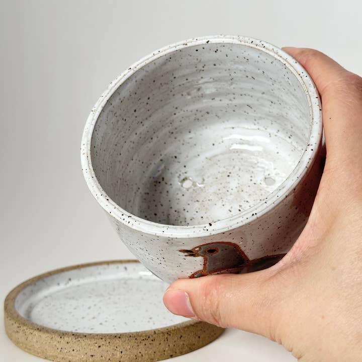 Annie’s Potteries – Vaso de plantas por atacado – Plantadores de Pombos7