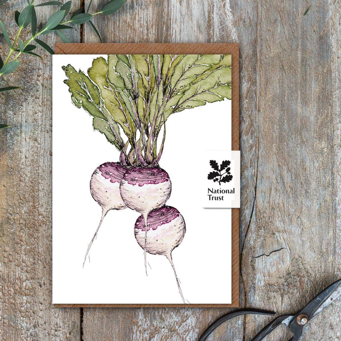 Toasted Crumpet – wholesale Everyday greeting card – The Kitchen Garden Turnips Card (Cello-Free)0