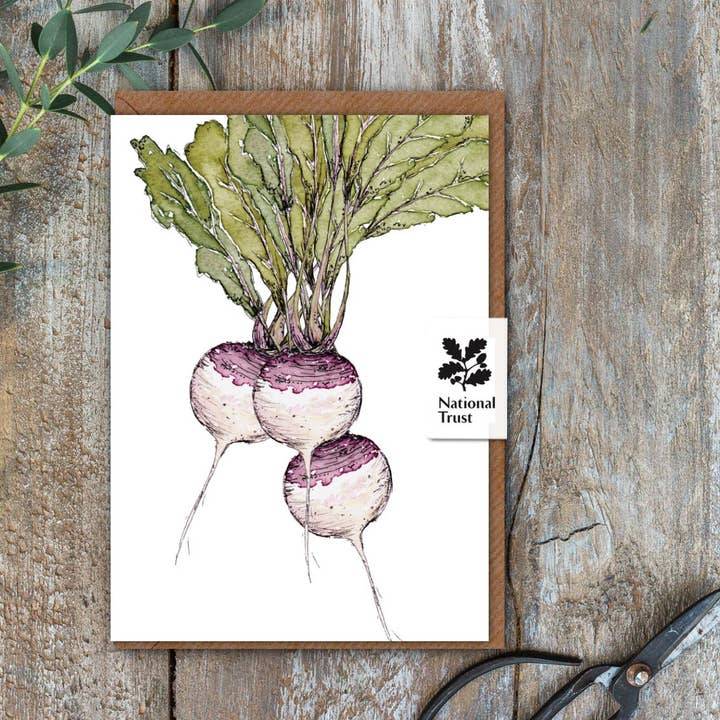 Toasted Crumpet – wholesale Everyday greeting card – The Kitchen Garden Turnips Card (Cello-Free)