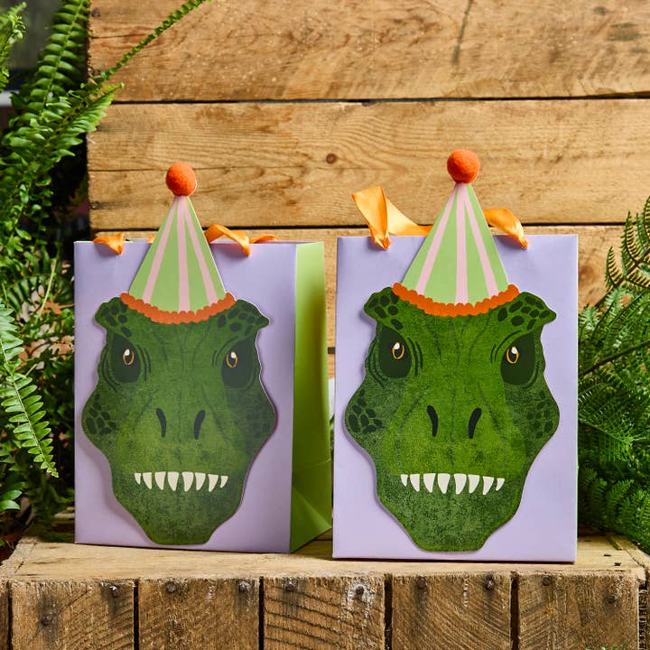 Hootyballoo by Club Green – Saco/caixa para lembranças por atacado – Sacos de Festa de Dinossauro - Pack de 5