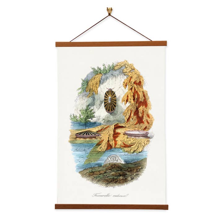 Gemälde „Vulkanschnecke mit Schnecke“ von Paul Gervais, Leinwand, Wandbild, Pr für den Großhandel von Vintage Banners