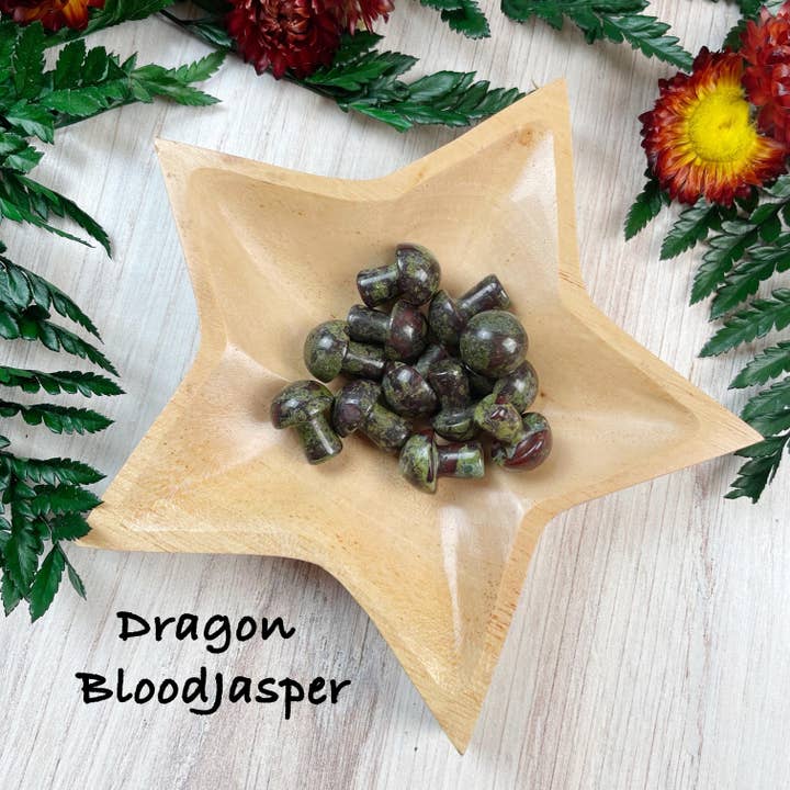 Ewelina Pas Jewelry - Wholesale Spiritual Stone/Crystal - MINI Gemstone Mushroom Pocket Stone22