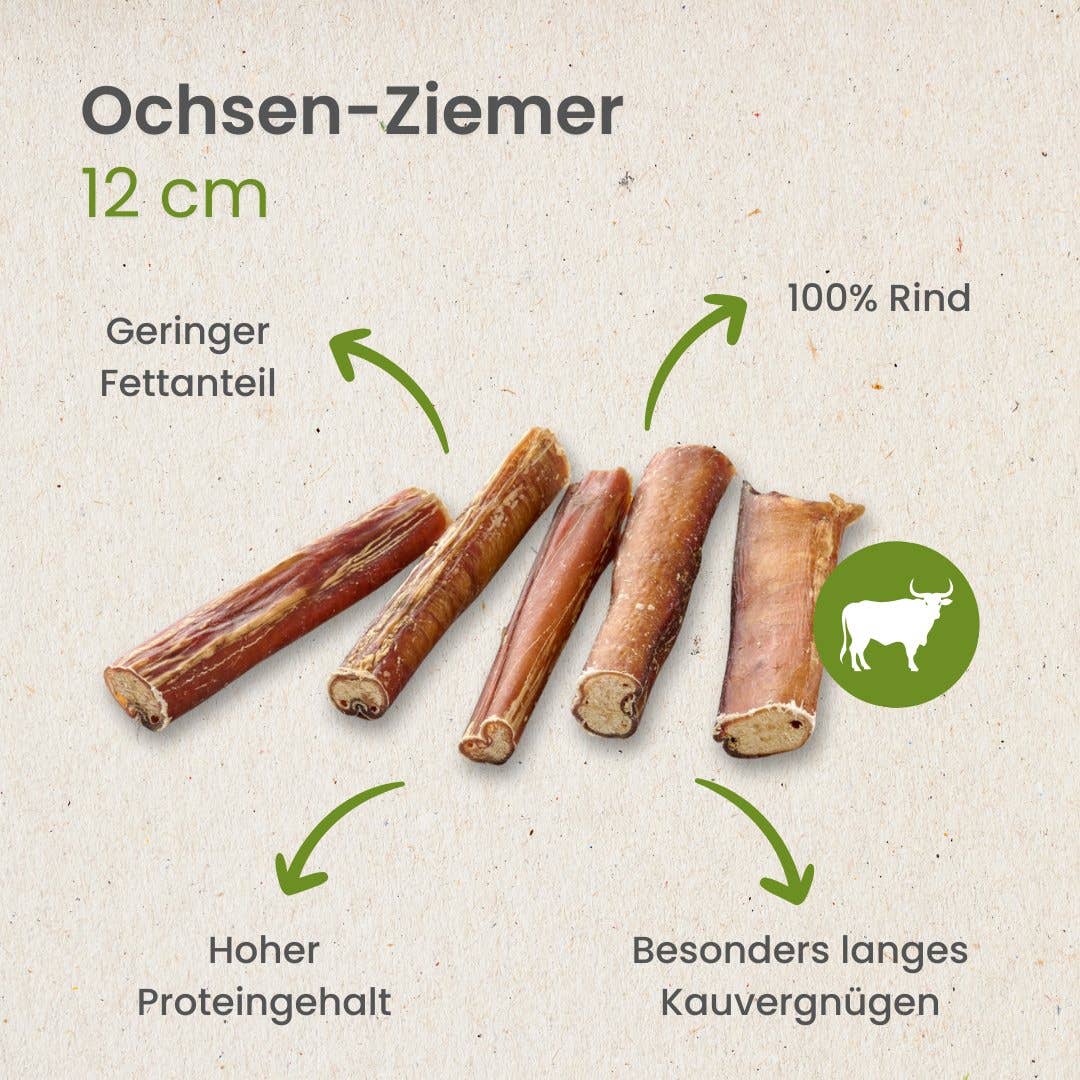 Kauartikel.com GmbH - Vendita all'ingrosso Osso/pelle di manzo - Cani - Pene di bue, 12 cm3