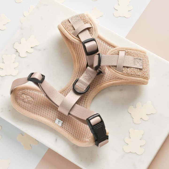 Cocopup London - Vendita all'ingrosso Pettorina - Cani - Pettorina da collo regolabile Teddy - Rupert2