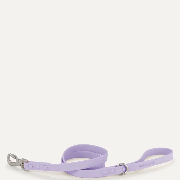 maxbone - Vendita all'ingrosso Guinzaglio - Cani - Guinzaglio per cani Hazel6