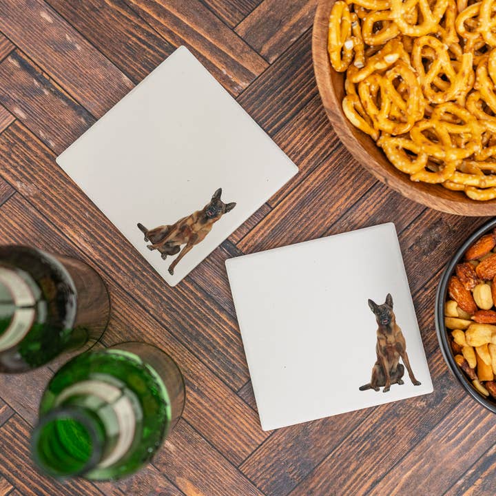 Blue Ridge Mountain Gifts - Wholesale Coasters - Belgian Malinois Ceramic Coaster – 70 Breeds Available8