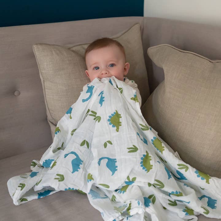 Ziggle Baby - Wholesale Swaddle - Baby - Dinosaurs Swaddle4