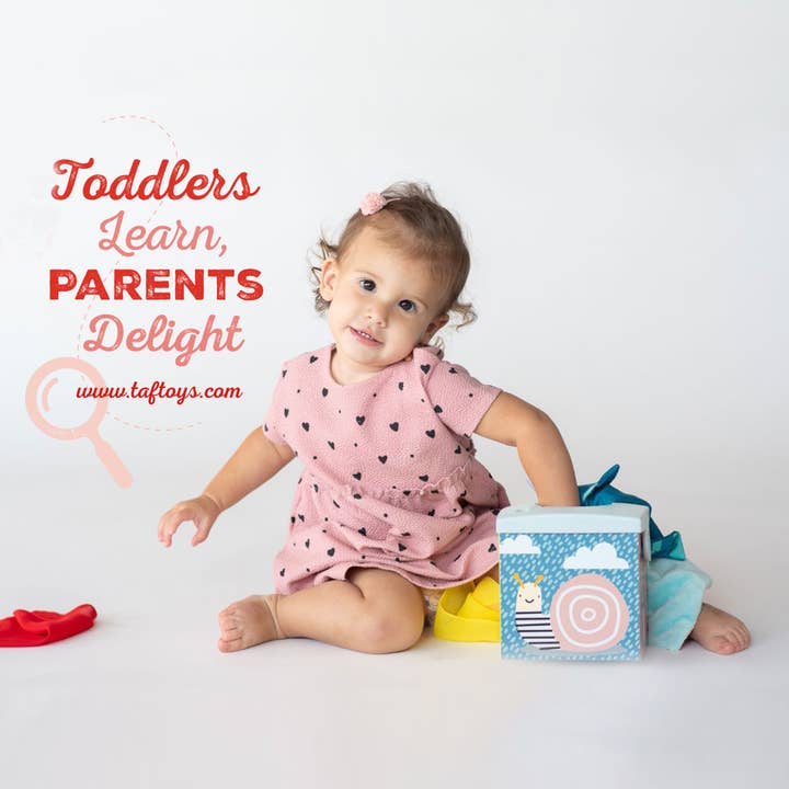 Playette - Wholesale Tissue box - Taf Toys Kimmy Koala Wonder Tissue Box4