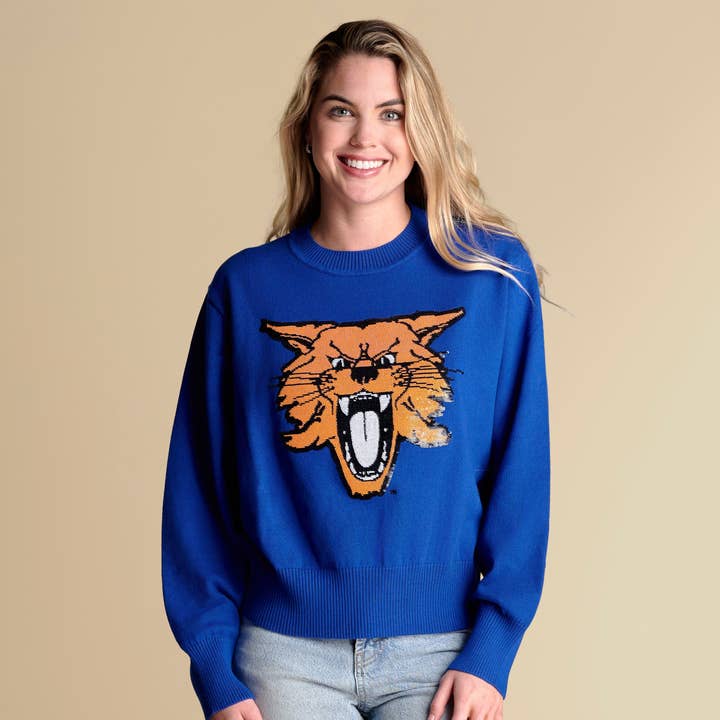 The Classic Sequin Sweater | Kentucky for wholesale by Stewart Simmons