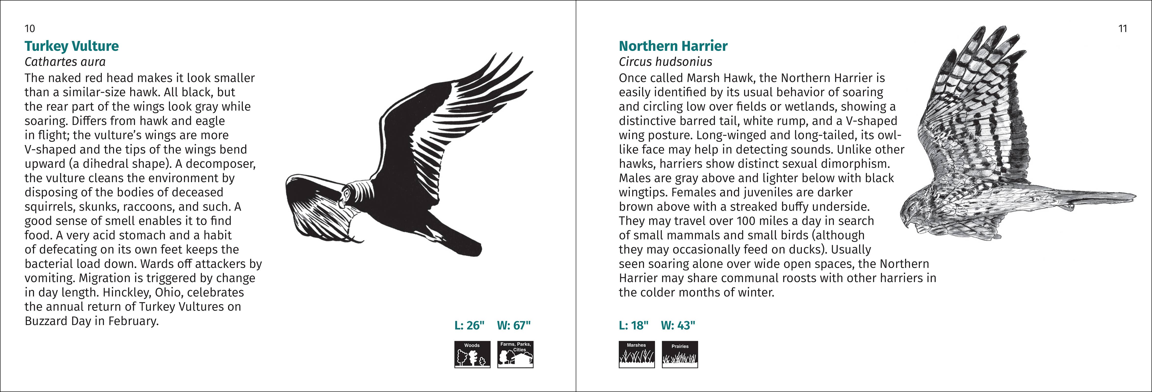 AdventureKEEN - Wholesale Nature & Outdoors - Bird Finder 2e10