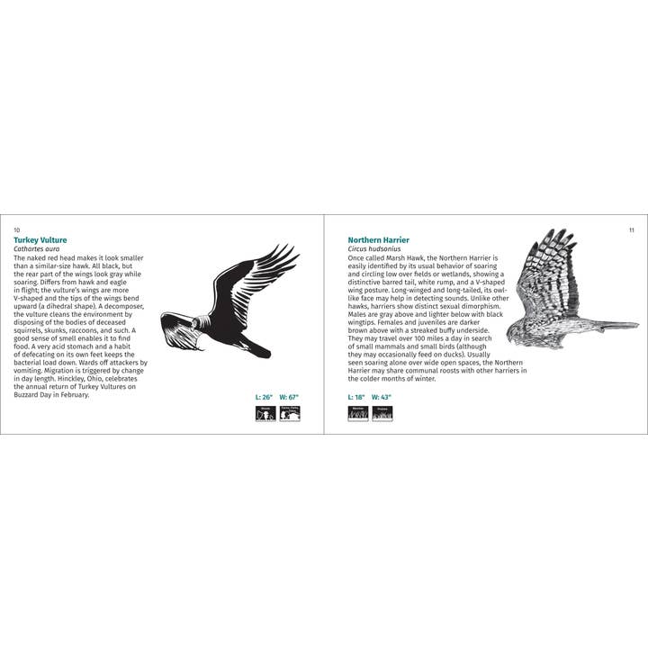 AdventureKEEN - Wholesale Nature & Outdoors - Bird Finder 2e10