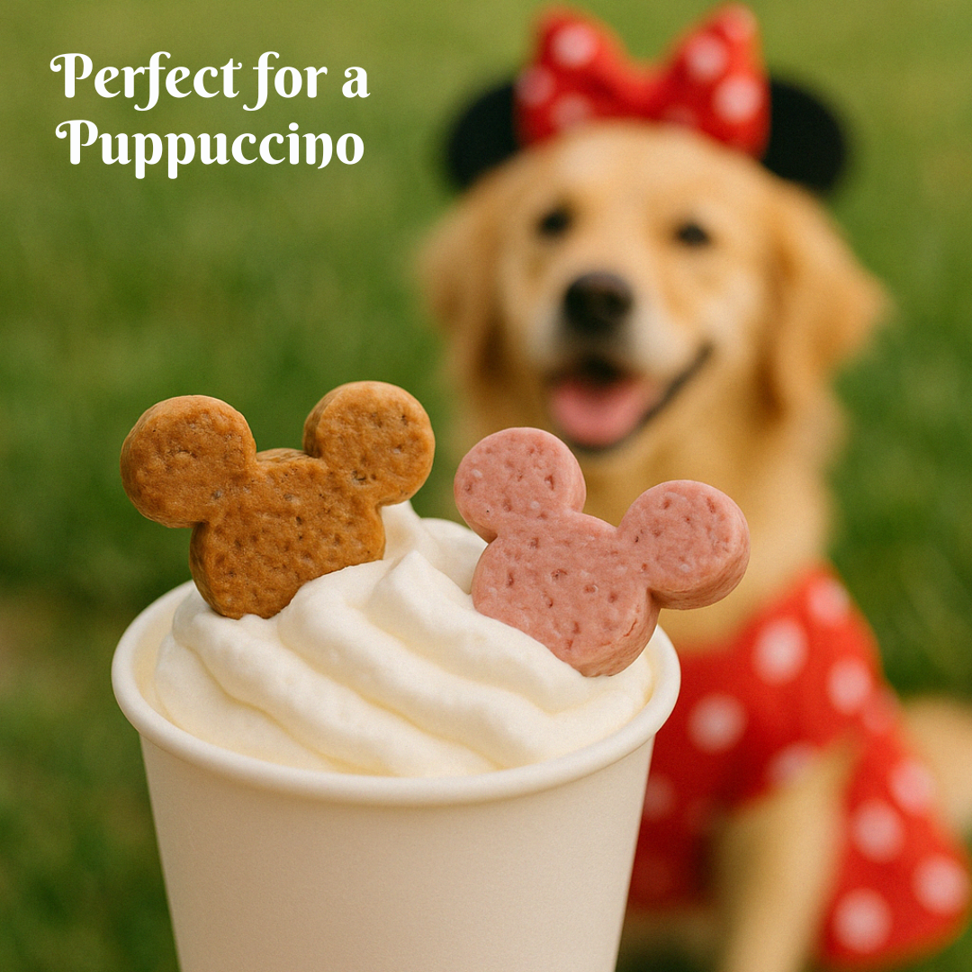 PARK LiFE - Wholesale Pet Treats - Dog - Disney Soft Bakes Beef Gravy 100g8