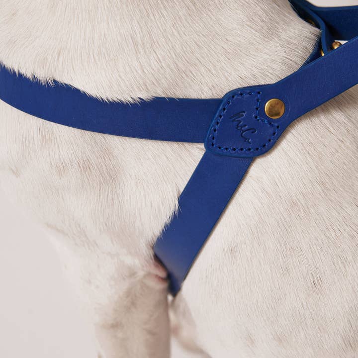 Muso & Co – Großhandel Haustiergeschirr – Hund – Klassisches Geschirr aus pflanzlich gegerbtem Leder3